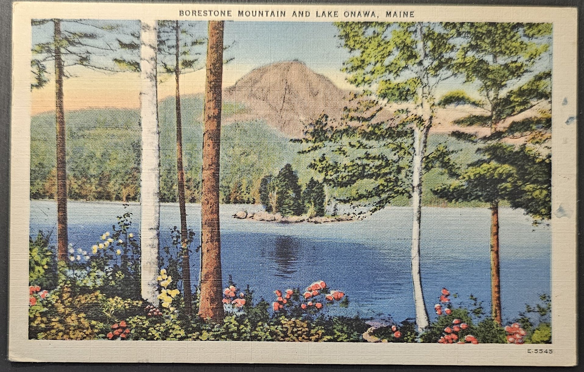 (image for) postcard USA - ME - Maine #0033